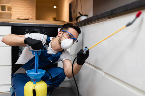 Best Residential Pest Control  in Mountain City, TN