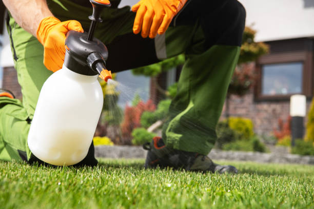 Professional Pest Control in Mountain City, TN