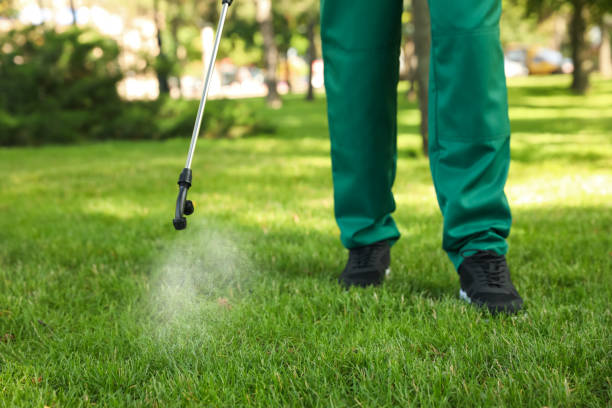 Best Affordable Pest Control Services  in Mountain City, TN