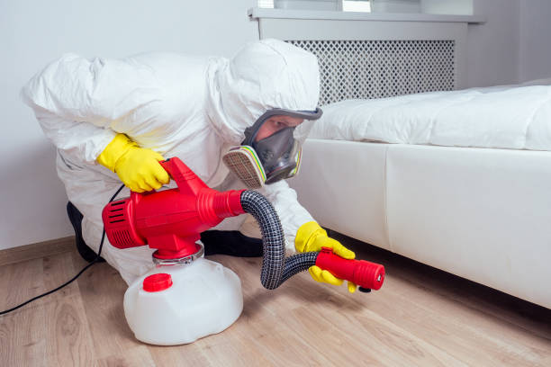 Best Wildlife Control Services  in Mountain City, TN