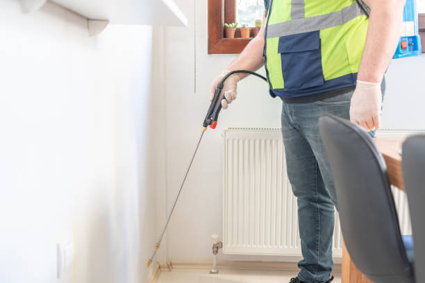 Pest Prevention Services in Mountain City, TN