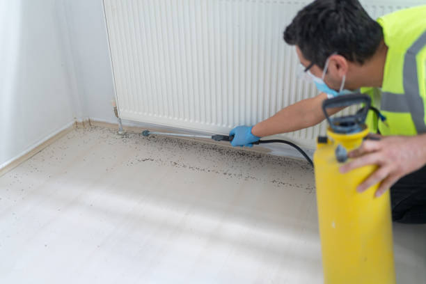 Best Cockroach Control Services  in Mountain City, TN